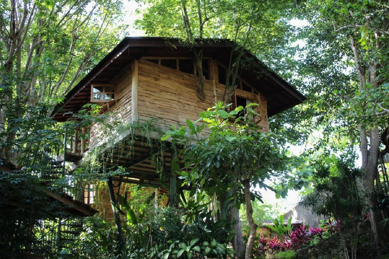 乌鲁瓦图Roots Tree House别墅 外观 照片