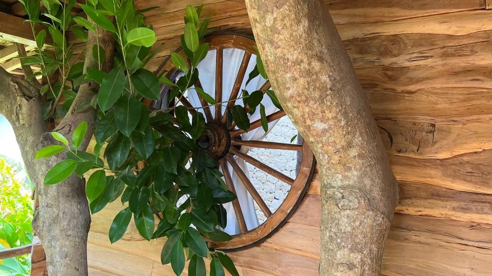 乌鲁瓦图Roots Tree House别墅 客房 照片